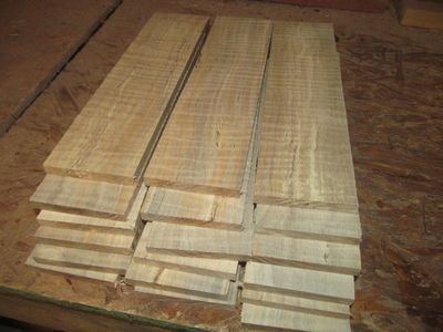 10 PIECES THIN SANDED CURLY MAPLE 12 X 3 X 1/4&quot;