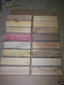 16 VARIOUS SPECIES TURNING BLOCKS