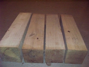4 Sweet Gum 3 x 3 x 12