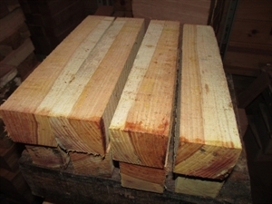 8 KENTUCKY COFFEE TREE TURNING BLANKS 2 X 2 X 11&quot;
