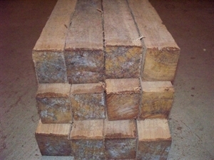 8 SWEET GUM 2 X 2 X 11