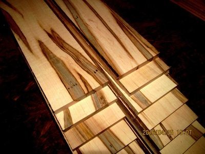 10 PIECES THIN SANDED AMBROSIA MAPLE LUMBER 12&quot; X 3&quot; X 1/4&quot;