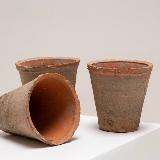 Petite Terracotta Pot & Saucer