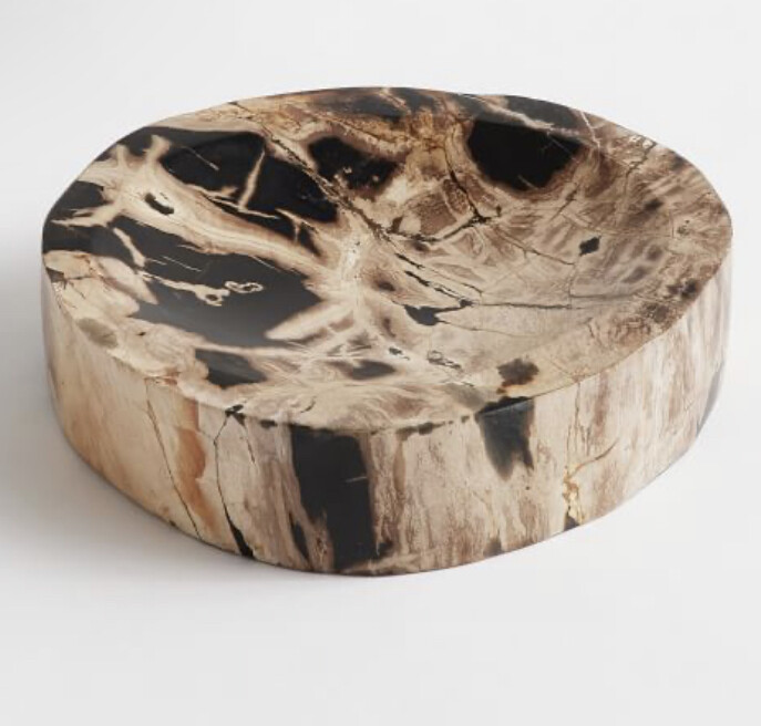 Petrified wood bowl