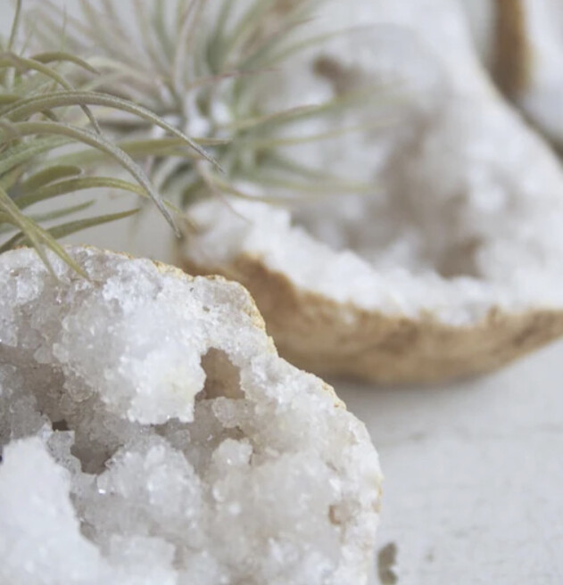 Calcite Geode Air Plant