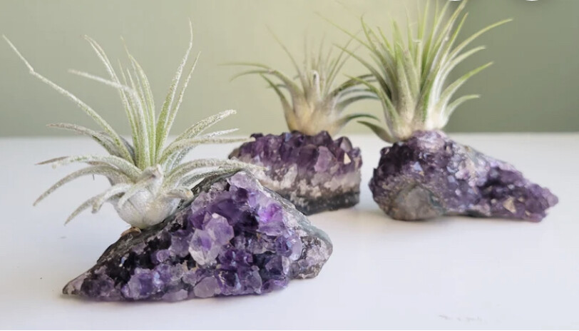 Amethyst Planter