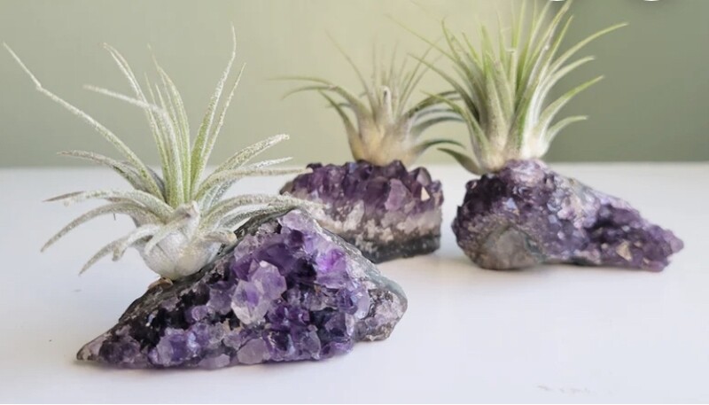 Amethyst Planter