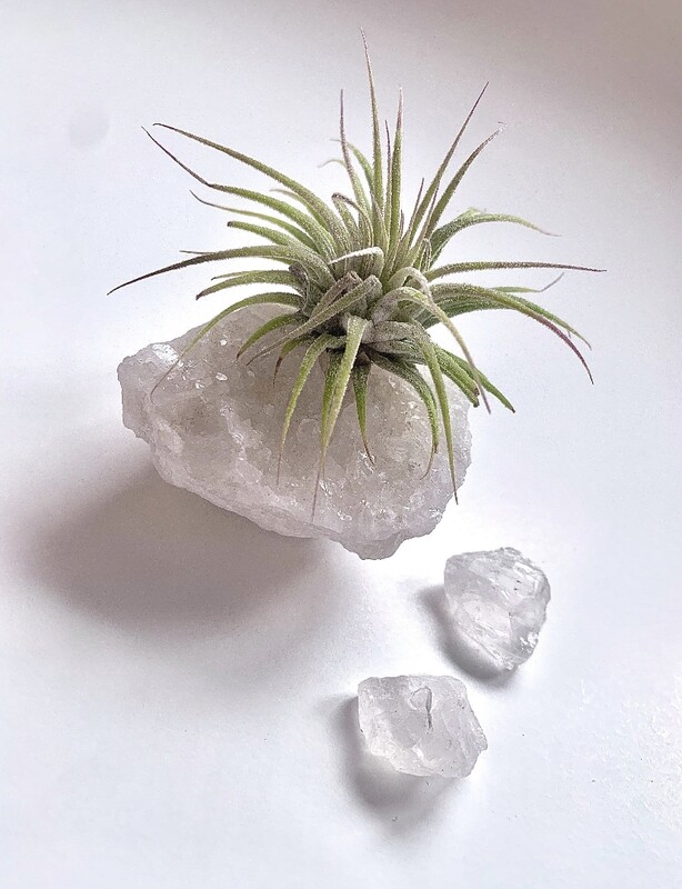 Botanical Crystal Piece