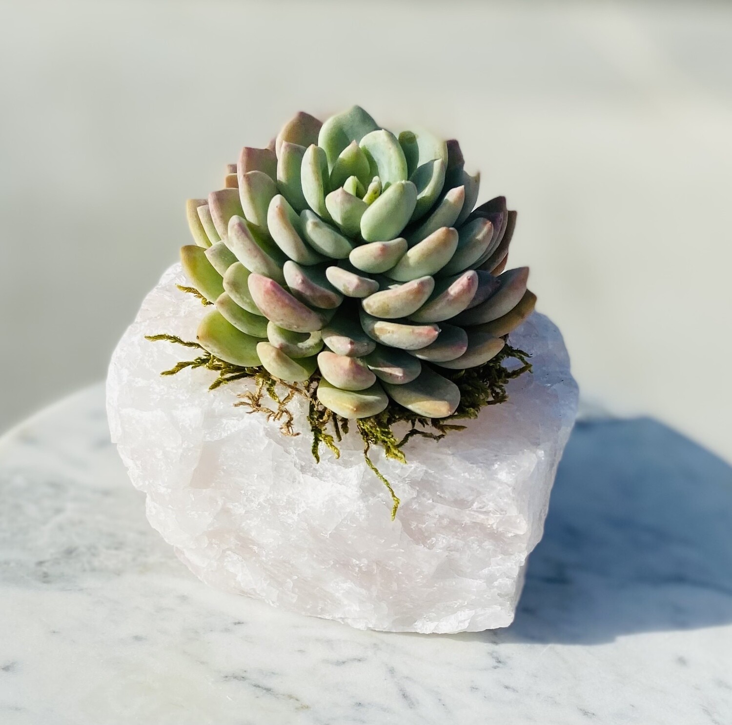 Rose Quartz Botanical Piece