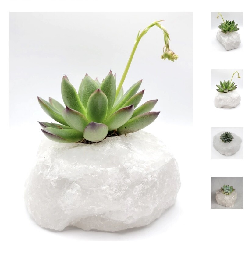 Clear Crystal Quartz Planter