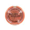 Bourjois Blush Creme Illuminateur Cream Blush