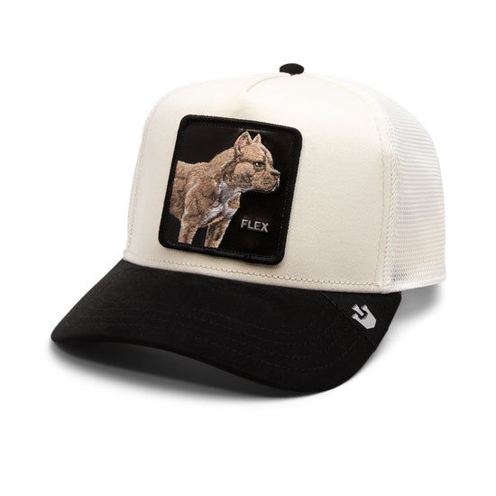 Cappello Pitbull Cane Flex  Crema Nero Goorin Bros. Suede Scamosciato Tela Patch Cappellino baseball 6 pannelli  Ebony Black art. 101 1860 CRE
