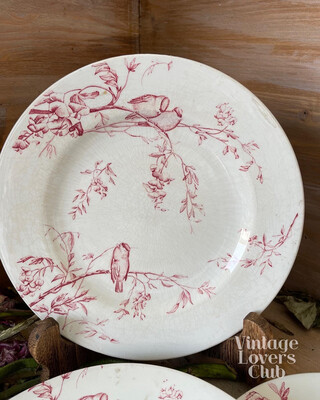 Dinner plates Luneville