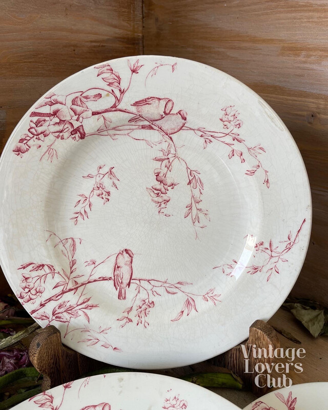 Dinner plates Luneville