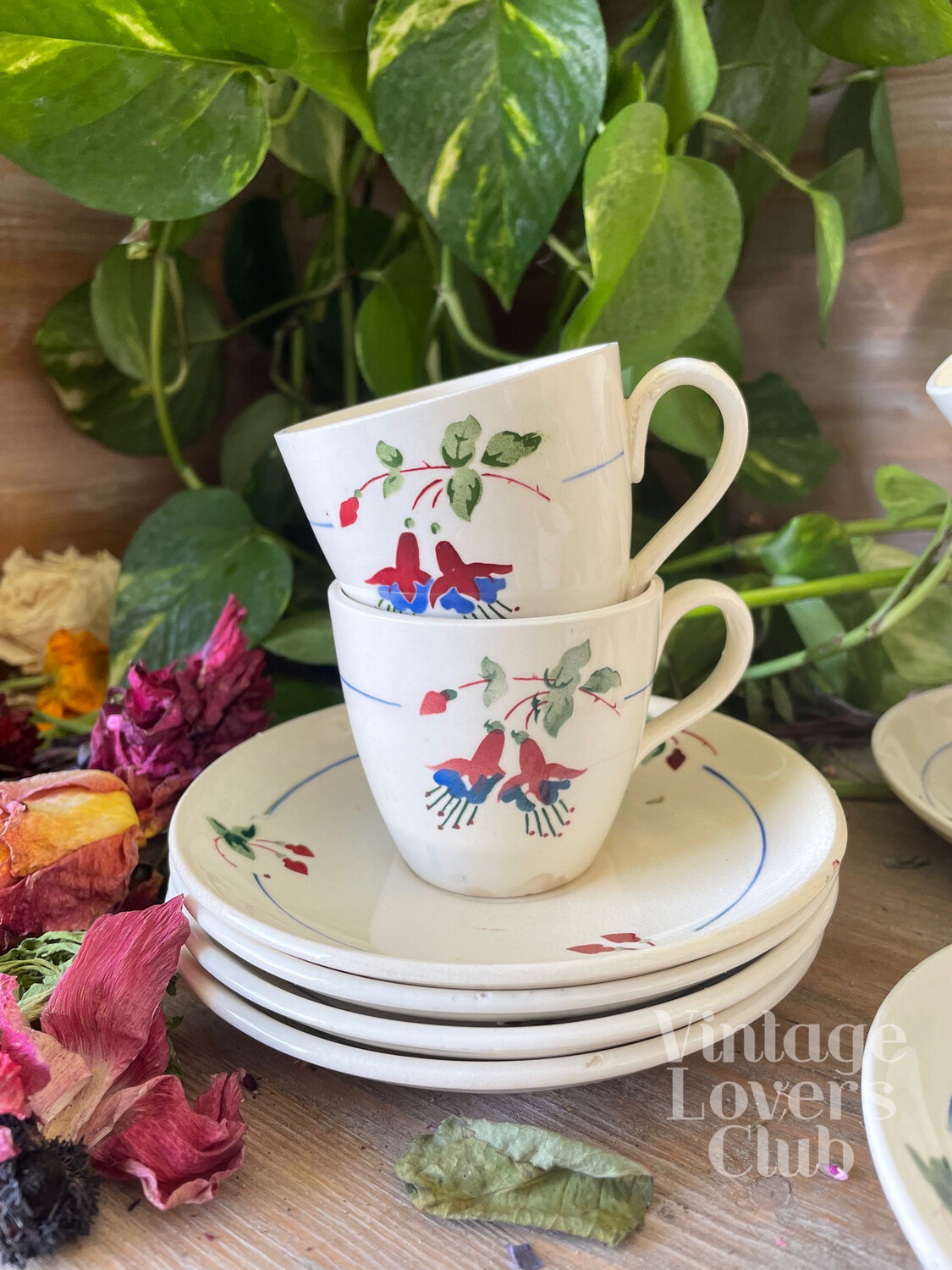 Bermudes coffee cups