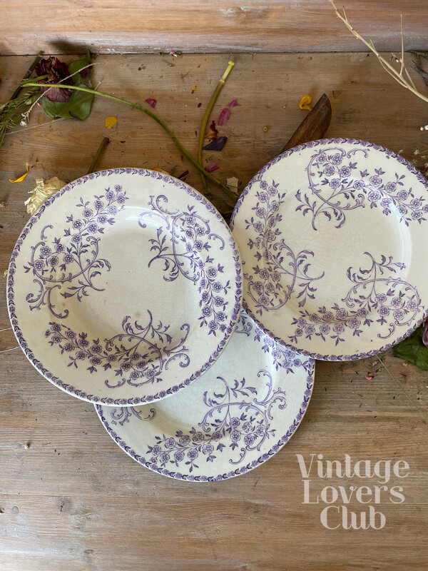 Gien porcelaine opaque flat plates