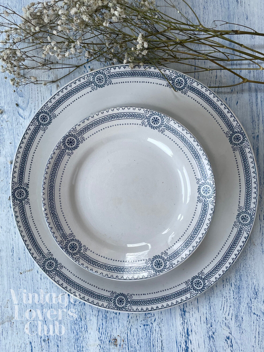 Pretty Shallow Bowl