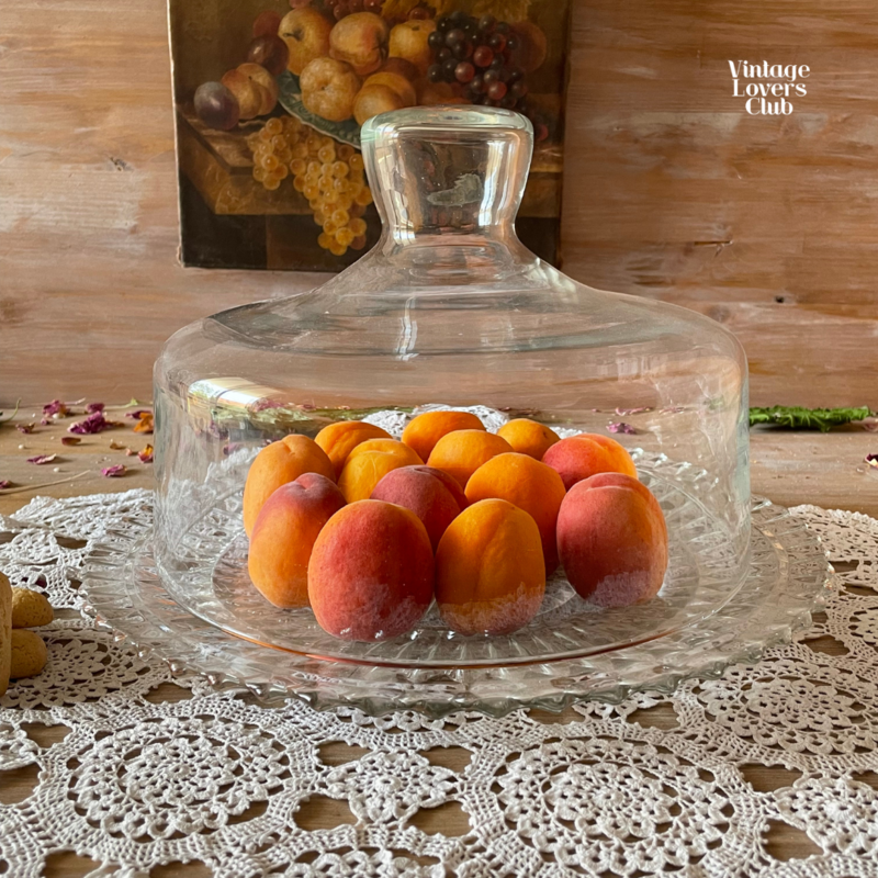 Piatto Torta con Cloche