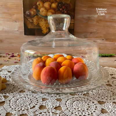 Piatto Torta con Cloche