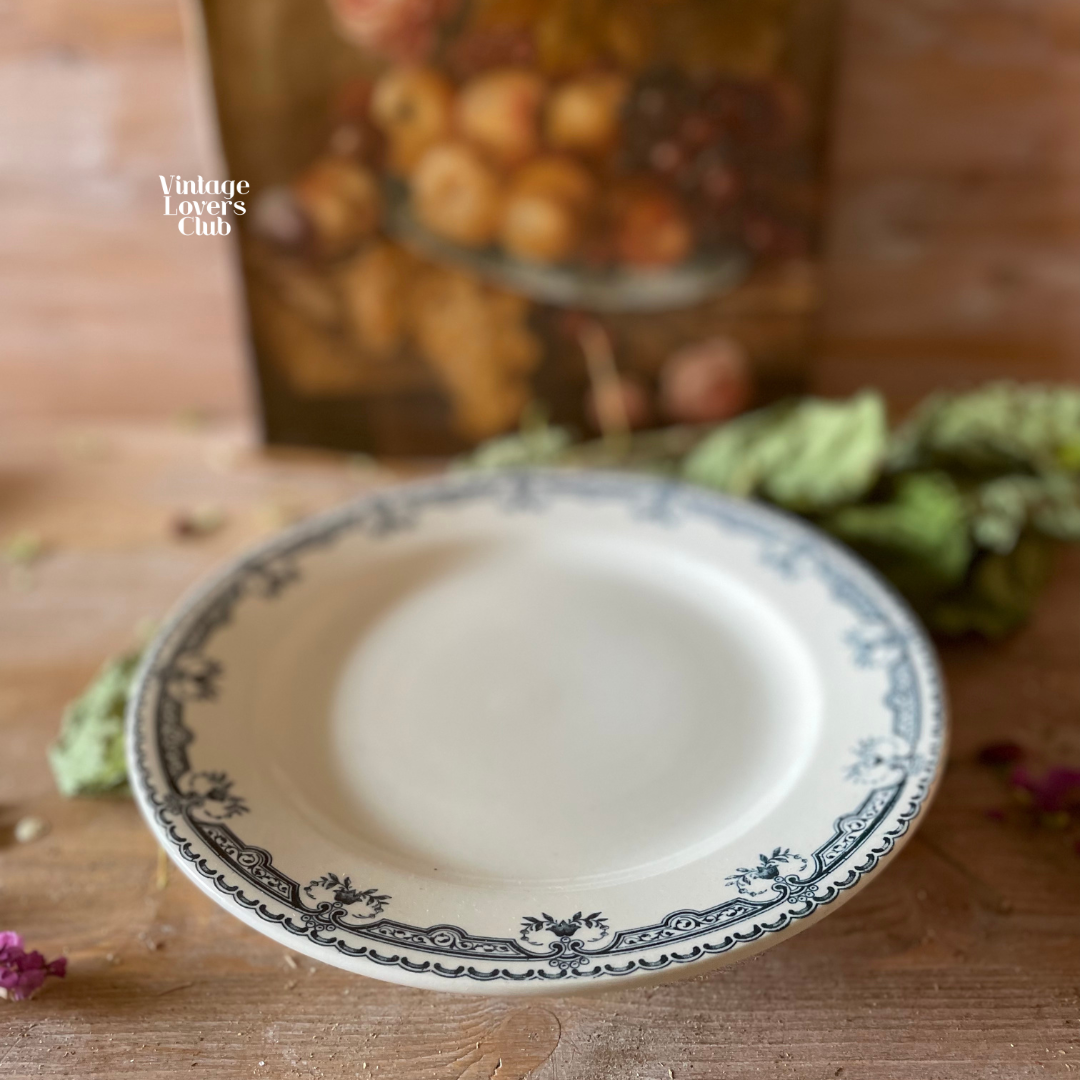 Salins Shallow Bowl