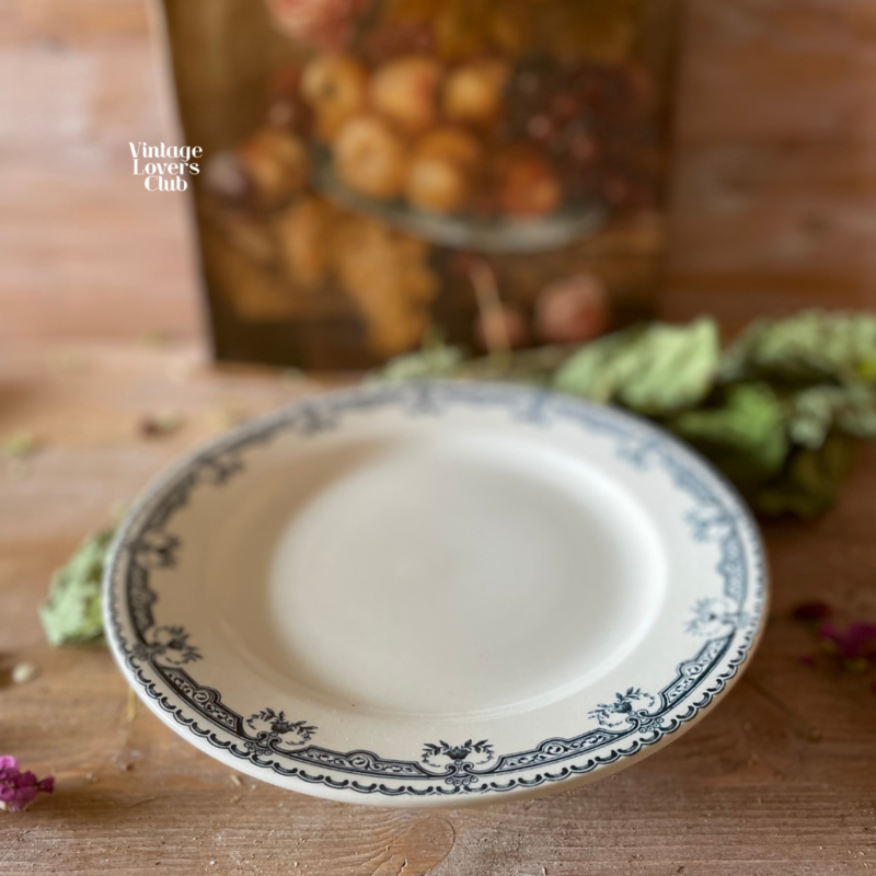 Salins Shallow Bowl