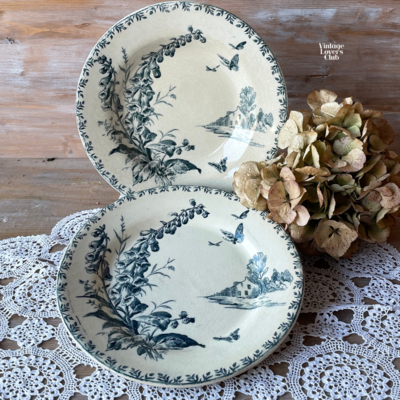 Flat Plate Gien Villageois