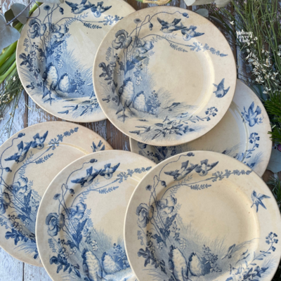 Fruit plate Oiseaux Patina