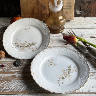 Dessert Saucer