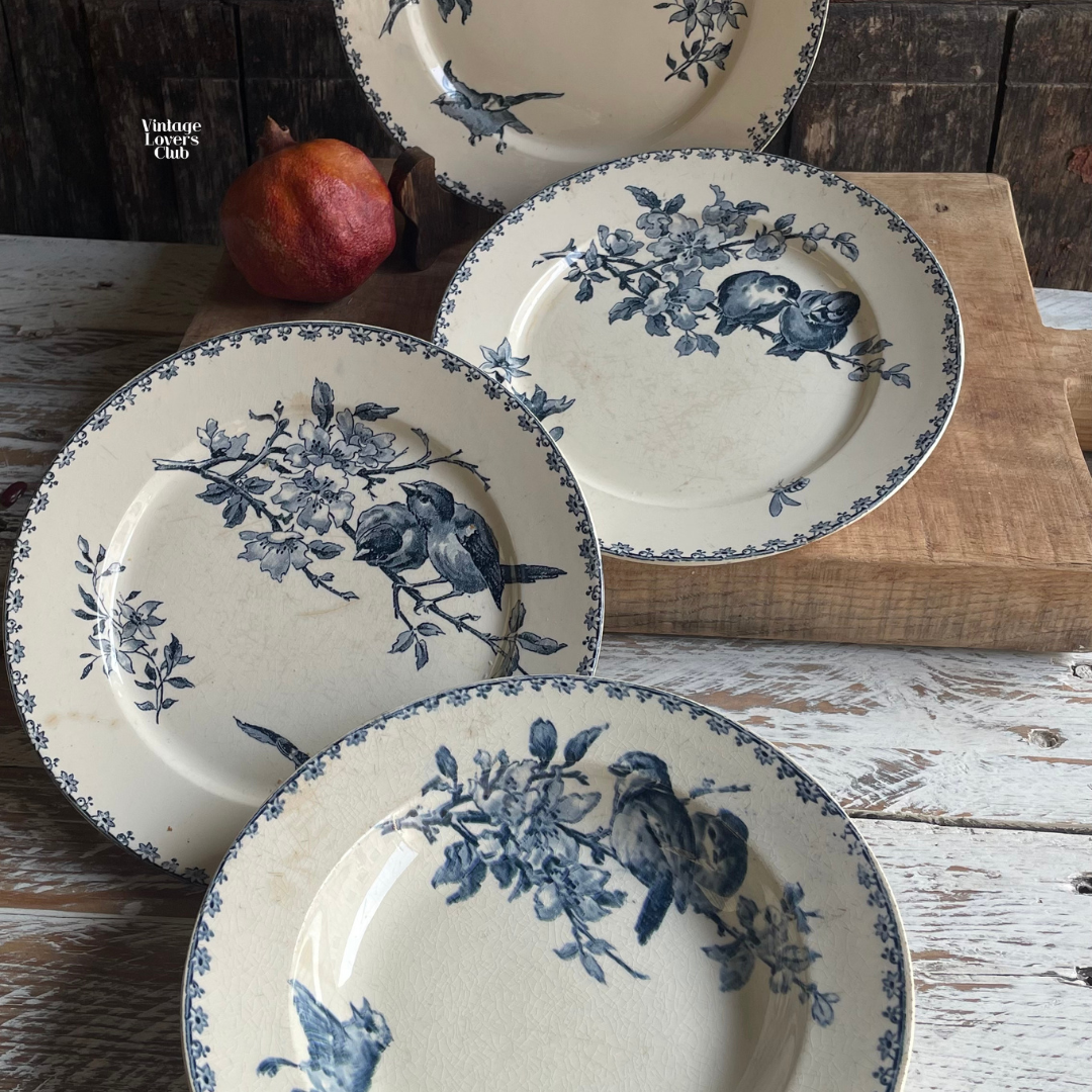 Favorì flat plate