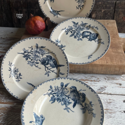 Favorì flat plate