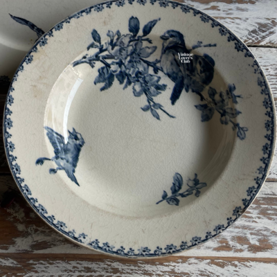 Favourì soup plate
