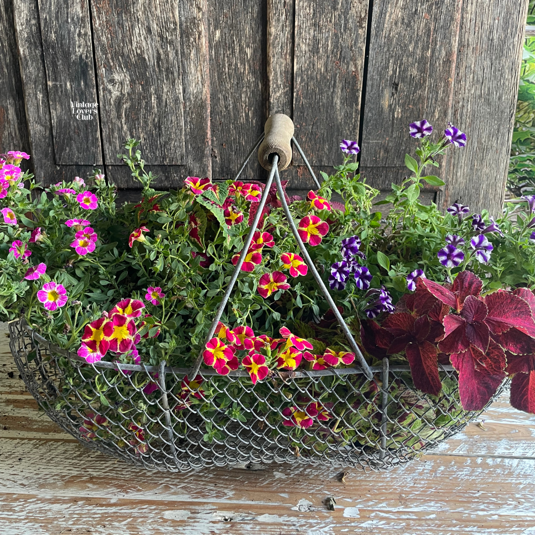 Iron Basket