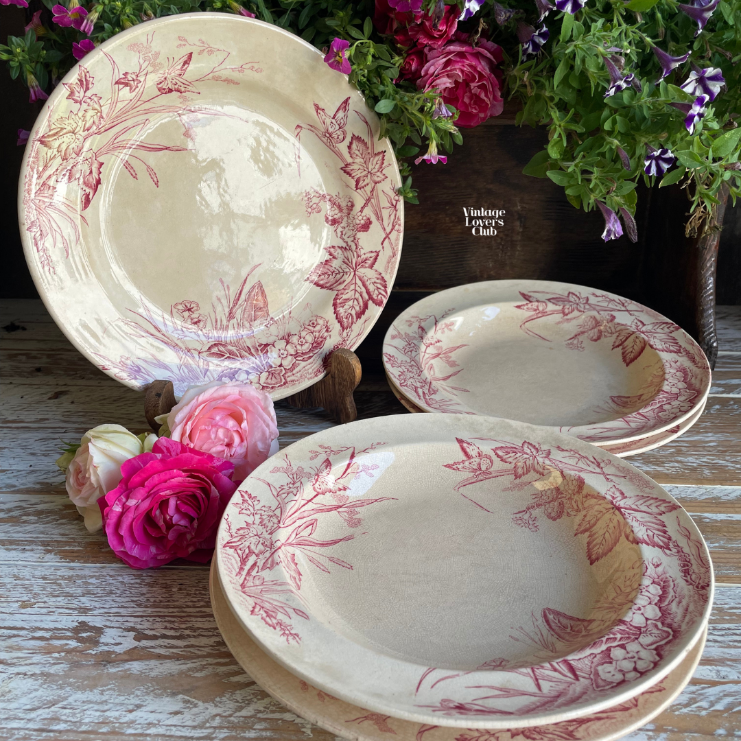Primerose Flat Plate