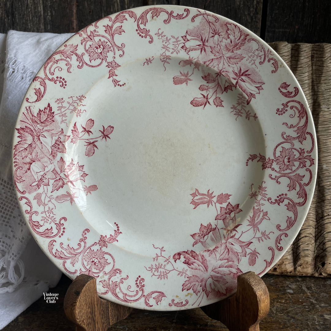 Campanule Flat Plates