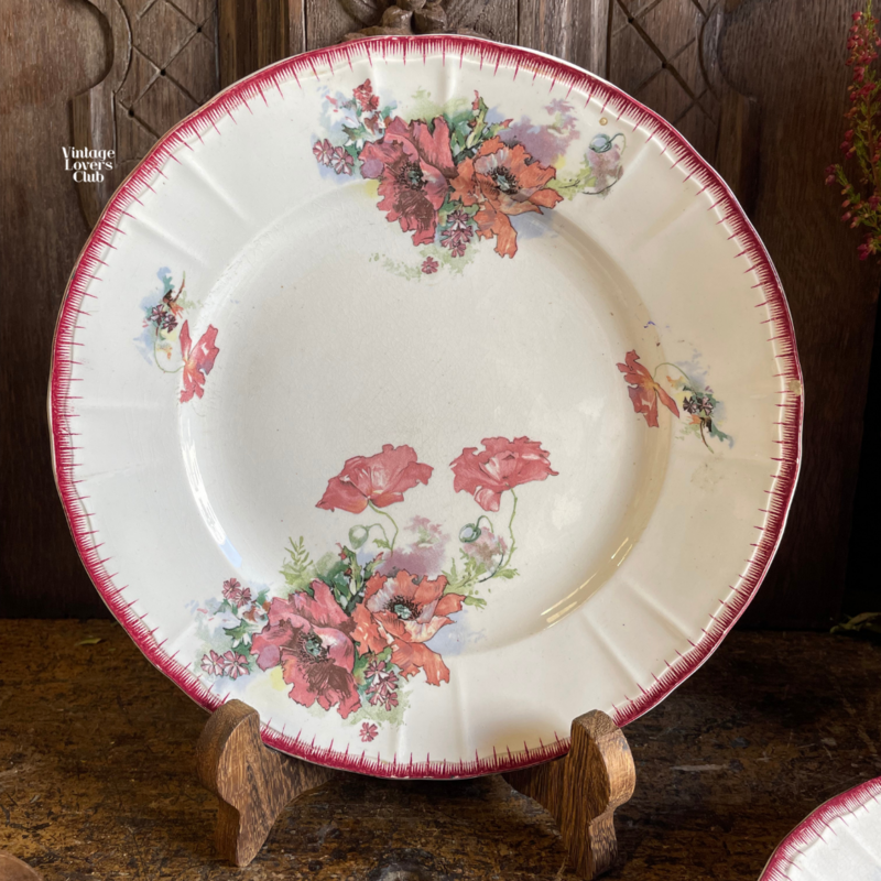 Pavots Dinner Plate