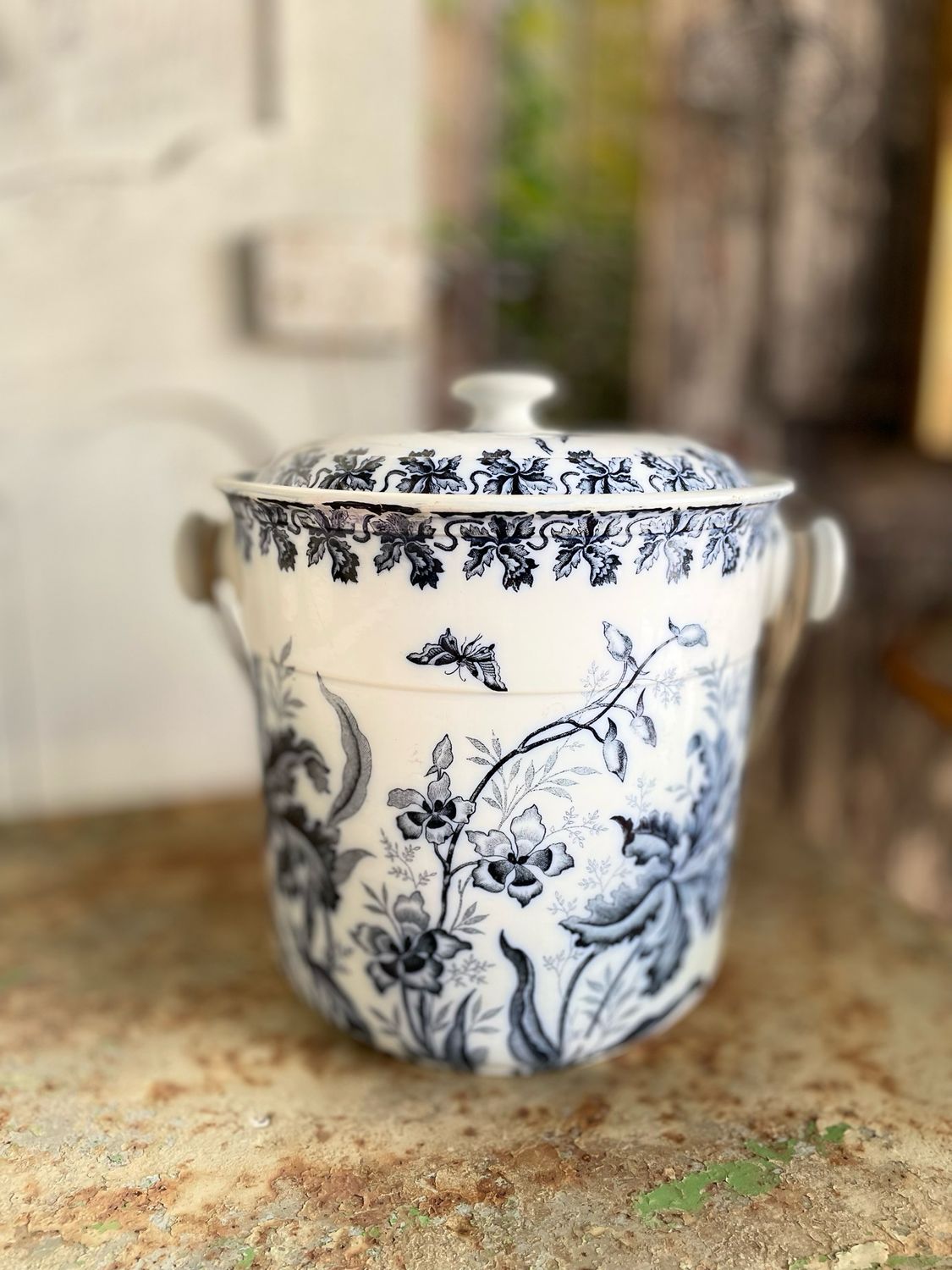 Blue terre de fer toilet bucket