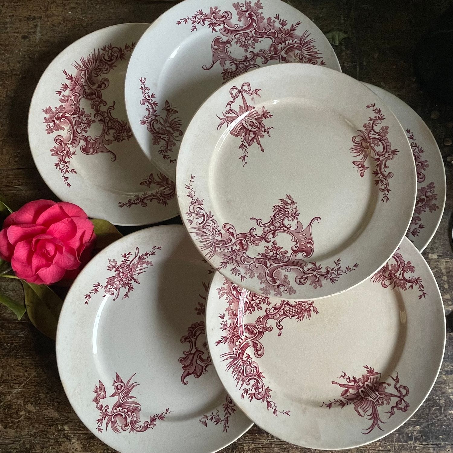 Dinner Plate with Plum-Colored Regent