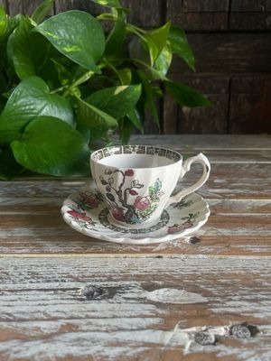 Tazzina da caffè Myott