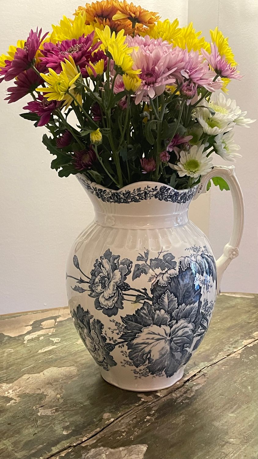 Ottanio Pitcher