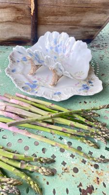 Porta Asparagi Porcellana