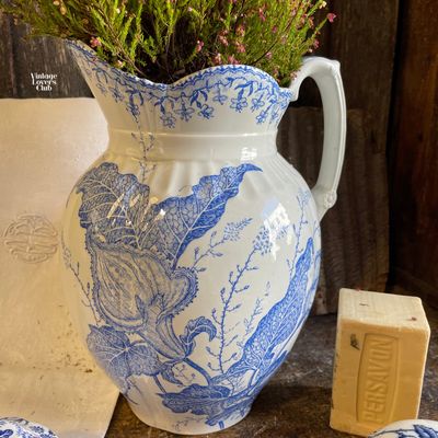 St. Amandinoise Pitcher