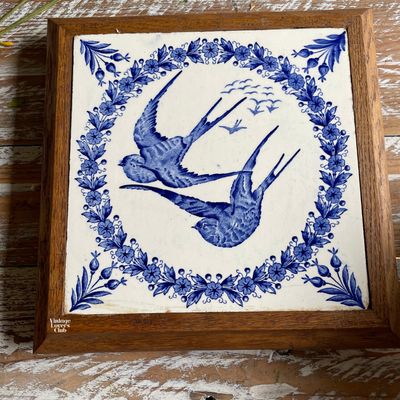 Under pan Rondini Blue