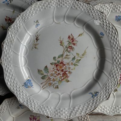 Hamage Nord Saucer Set