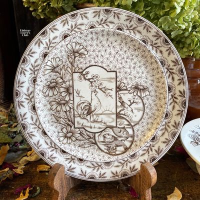 Devonshire Ceramic Dinner Plate