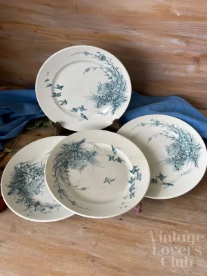 Piatto Piano Paysages