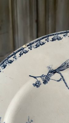 Piatto Piano Carmen 23,5