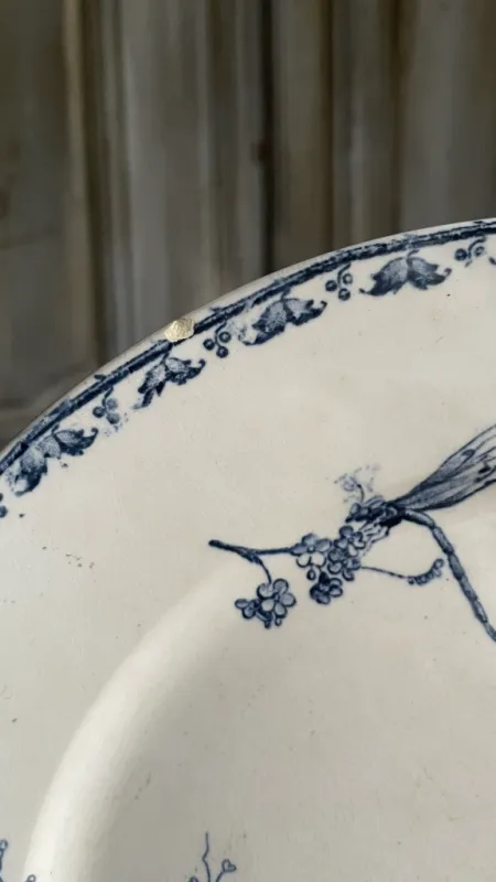 Dinner Plate Carmen 23.5