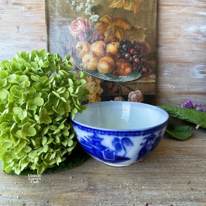 Bol Vieillard Bordeaux