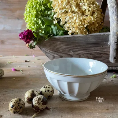 With Bowl with Golden Rim