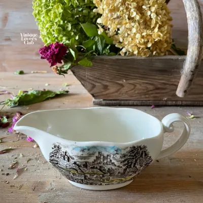 Salsiera Inglese Paesaggio